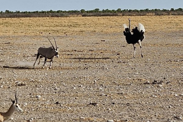 57d81641-41cc-4b43-bb34-232985981016