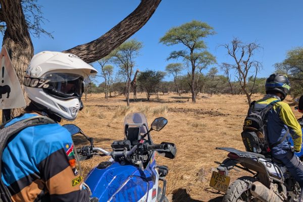 e3017cc5-2eed-4c9b-9742-1165943a9cd7